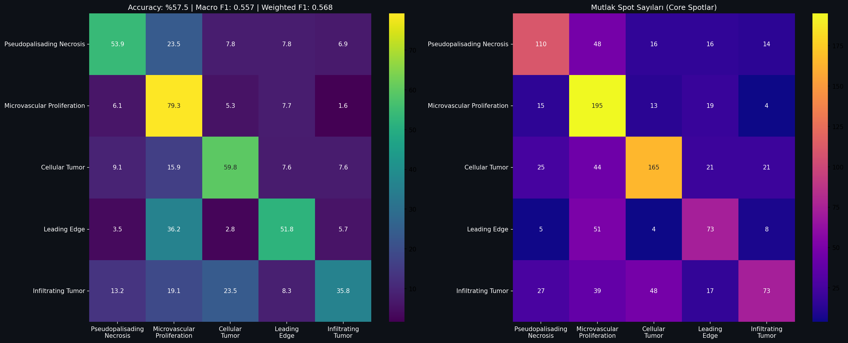 GNN Classifier Confusion Matrix