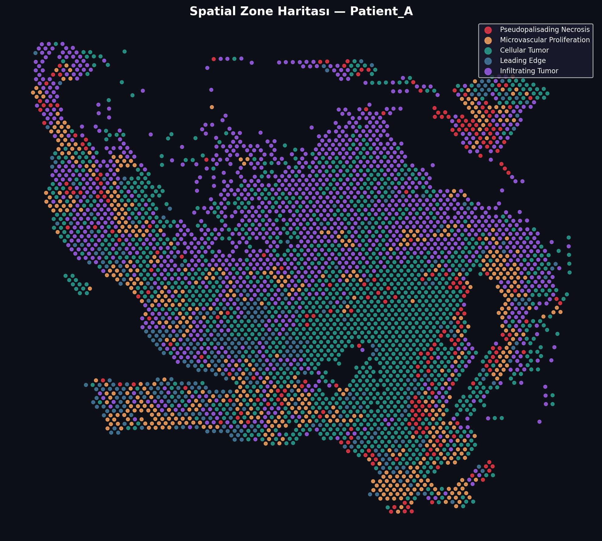 Spatial Zone Classification Map